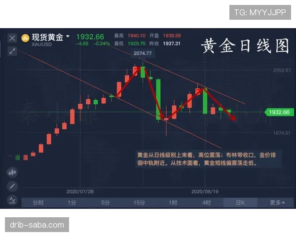 加亚技术特点：左路攻防稳健，传中精准且具备出色位置感
